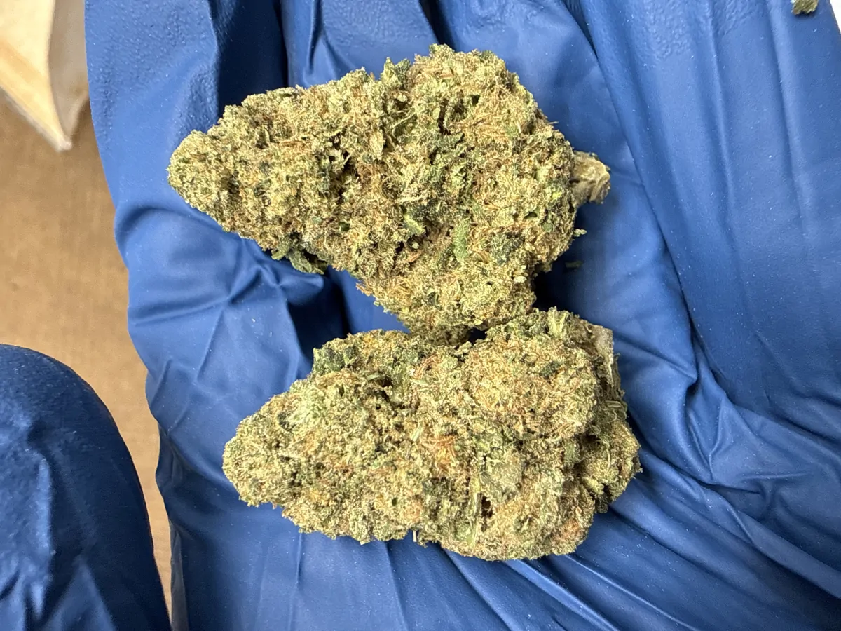 Acai Gelato Flower